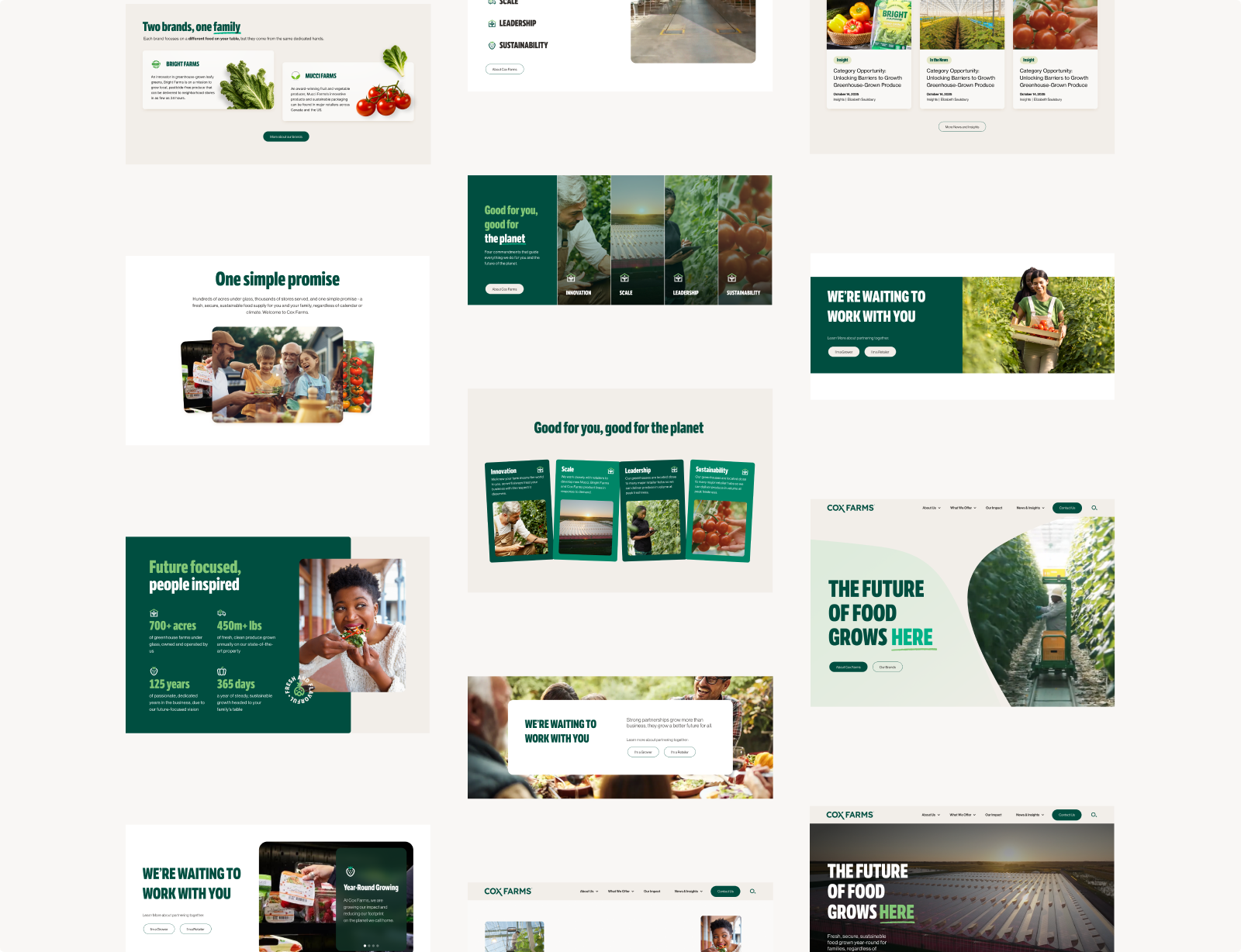 The component library — every section built as a reusable, documented piece.