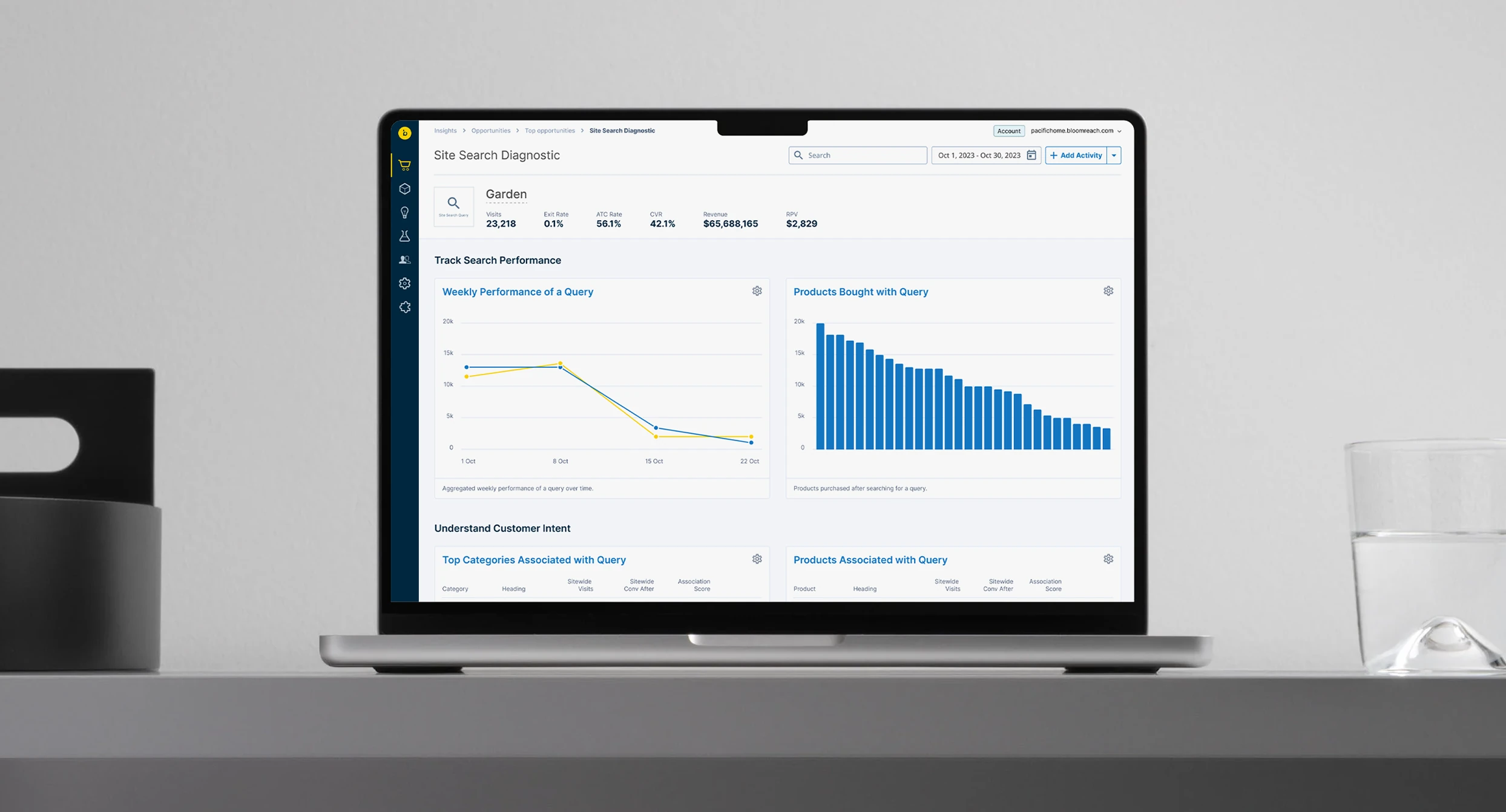 Bloomreach Insights